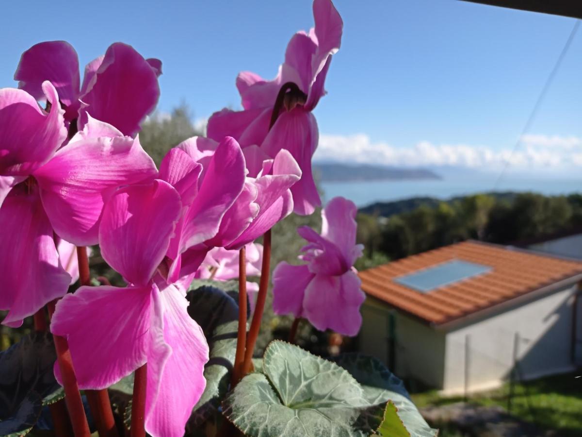 Le Vigne Di Lenf Apartman Porto Venere Kültér fotó