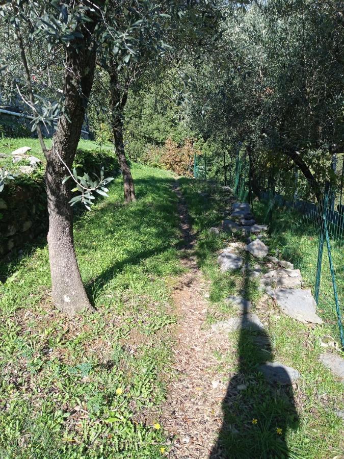 Le Vigne Di Lenf Apartman Porto Venere Kültér fotó